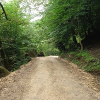 رامسر-گیلان